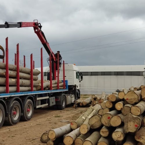 70b9e2be-42ef-4a6e-97ba-db23f310e9a7