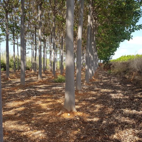 769e004d-7bda-4a18-b9c5-9c0196835ef4