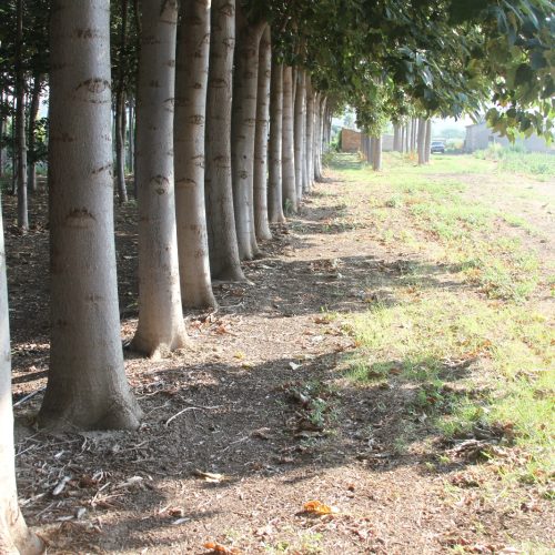 927e7dbd-061b-4aa5-906d-7c5ed723e946