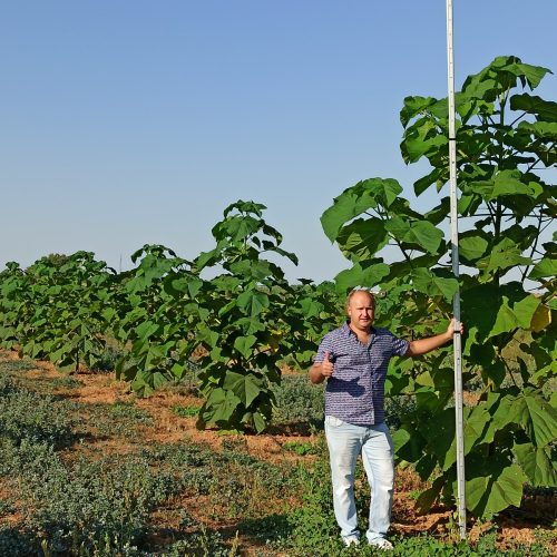 9da50ea6-7858-4c33-a474-6fa1e8a30737