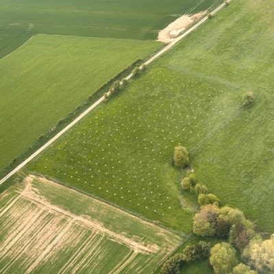 Plantation TURBO PRO