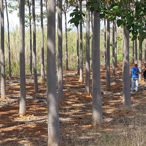 c0060862-ac06-4587-8360-6085a3dcb091